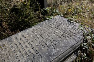 undercliffe september 26 2011 charles edmondson sm.jpg